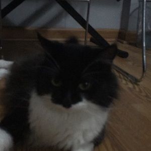 Meet your Posher, Linda